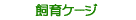 ����P�[�W