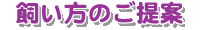 ����������̃��C�A�E�g��