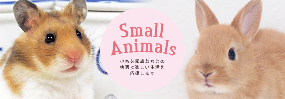 市場 お買い得 三晃商会 サンコー ３個セット ガリガリキャロット